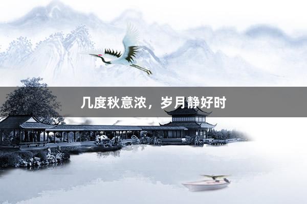 几度秋意浓,岁月静好时