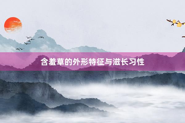含羞草的外形特征与滋长习性